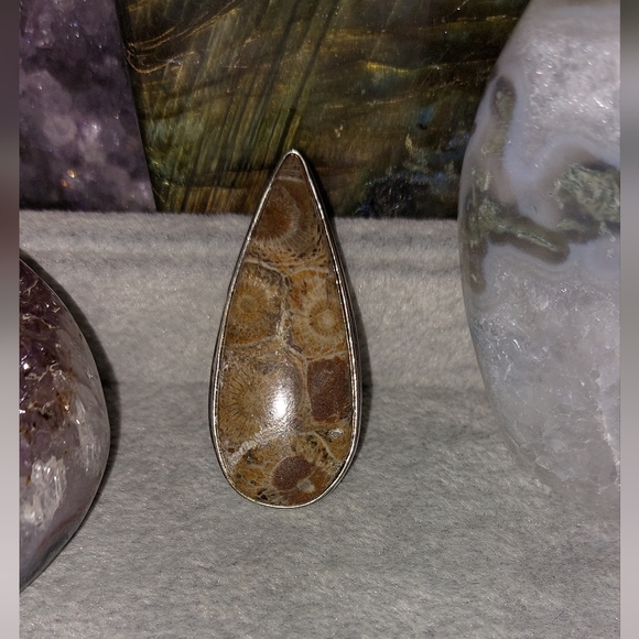 Gigantic Fossil Coral Statement Ring - Picture 6 of 8